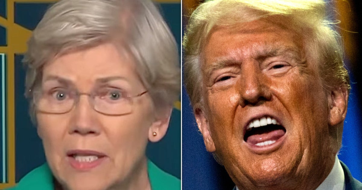 NextImg:Elizabeth Warren Reveals 'Damn Good Reason' Trump Is 'Really Afraid' Right Now