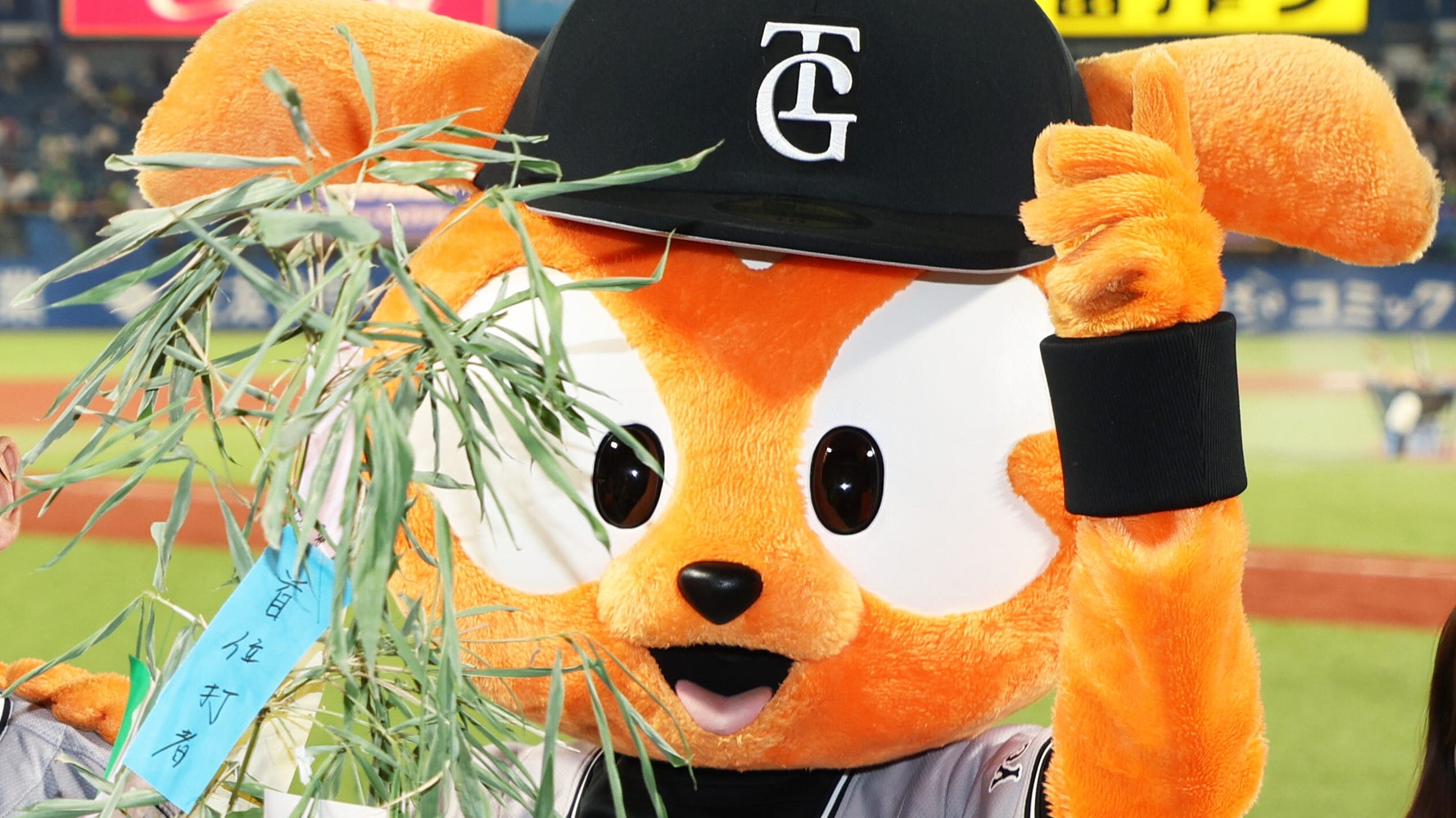 激レア 横浜高校練習着（高校野球 ユニフォームのYahoo!オークション 