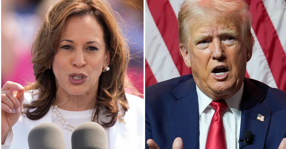 NextImg:Trump Says He And Harris Have Agreed To Mic Terms Ahead Of Sept. 10 Debate