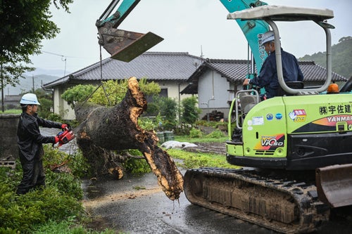 Workers remove a fallen tree brought down by strong winds from Typhoon Shanshan in Usa, Oita prefecture on Aug. 29, 2024.