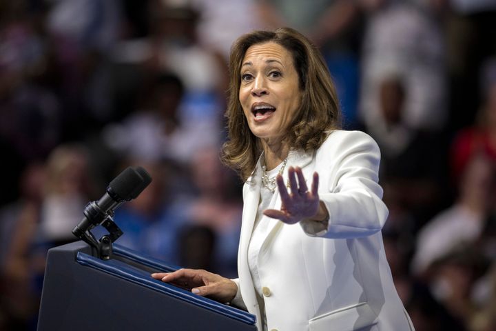 Democratic presidential nominee Vice President Kamala Harris speaks at a campaign rally Thursday, Aug. 29, 2024, in Savannah, Ga.