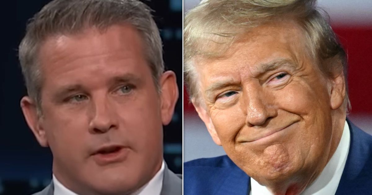 Kinzinger Comments on Trump's Body Odor