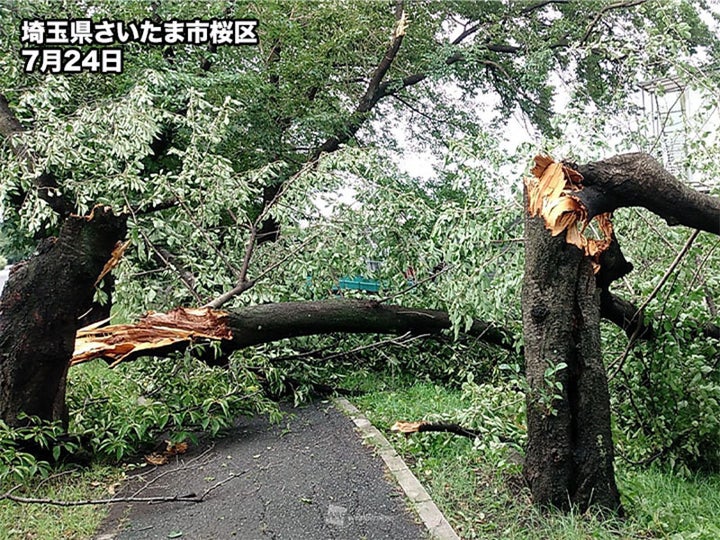 埼玉県さいたま市桜区（7月24日）