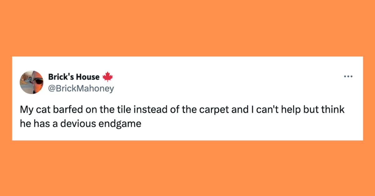 22 Of The Funniest Tweets About Cats And Dogs This Week (Aug. 31-Sept. 6