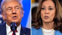 テイラー・スウィフトのサイン入りギター、落札者がその場で叩き壊す。ハリス支持に不満? | ハフポスト WORLD