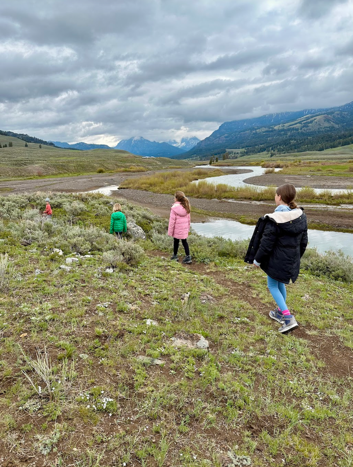 The author's four children, ages 6 to 11, explore Lamar Valley in Yellowstone National Park.