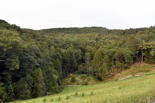 Trees stand in wooded areas alongside Interstate 75 near Livingston, Ky., Sunday, Sept. 8, 2024, as police search for a suspect in a shooting along the Interstate.