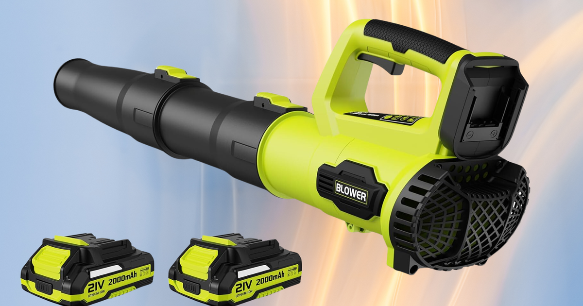 NextImg:This Powerful Yet Lightweight Leaf Blower Is On Major Sale Just In Time For Fall