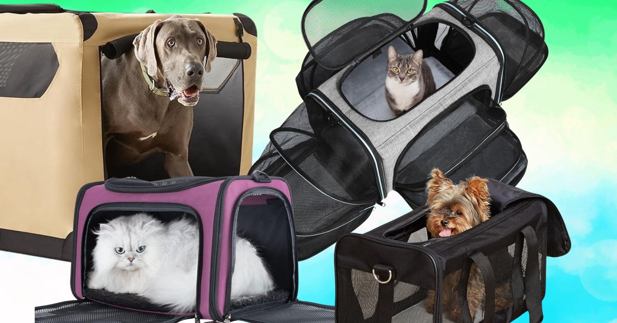 The Best Actually-Comfortable Pet Carriers For Travel