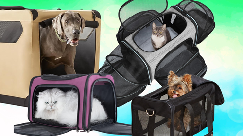 Best expandable pet carrier best sale