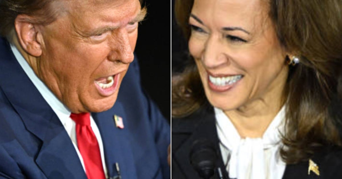 NextImg:Report Reveals Very Different Ways Trump And Harris Spent Commercial Breaks In Debate