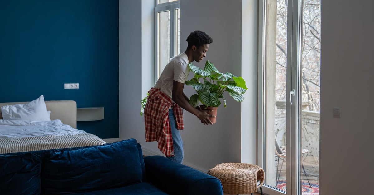 NextImg:This Is The Only Kind Of Pot Your Plant Needs, According To An Expert