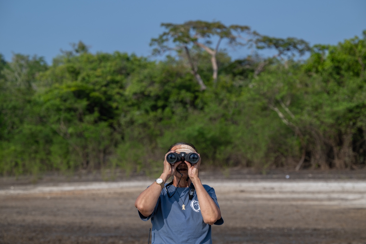 Miriam Marmontel scans a tributary to Lake Tefé during a health assessment for the lake's pink river dolphins in August.