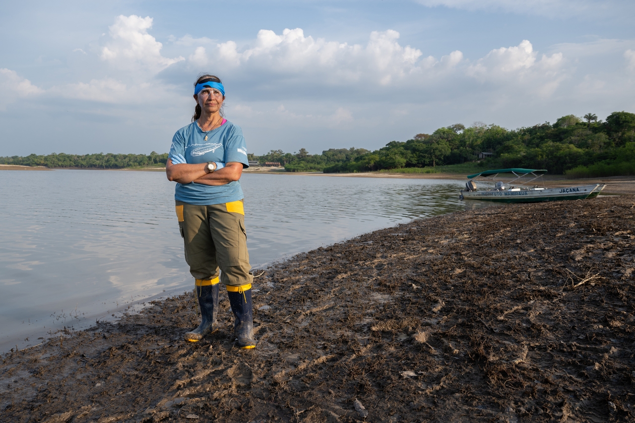 Miriam Marmontel, an aquatic mammal expert at the Mamirauá Institute in Tefé, Brazil, stands on the banks of a tributary to Lake Tefé during a health assessment of the lake's pink river dolphin population in August. Last year, Marmontel and her team responded to river dolphin die-offs that killed more than 200 in Lake Tefé and 120 near Coari. She and her team are worried this year may be even worse.