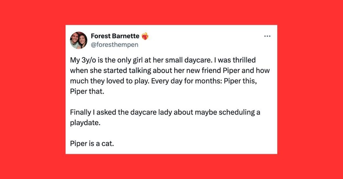 NextImg:29 Of The Funniest Tweets About Cats And Dogs This Week