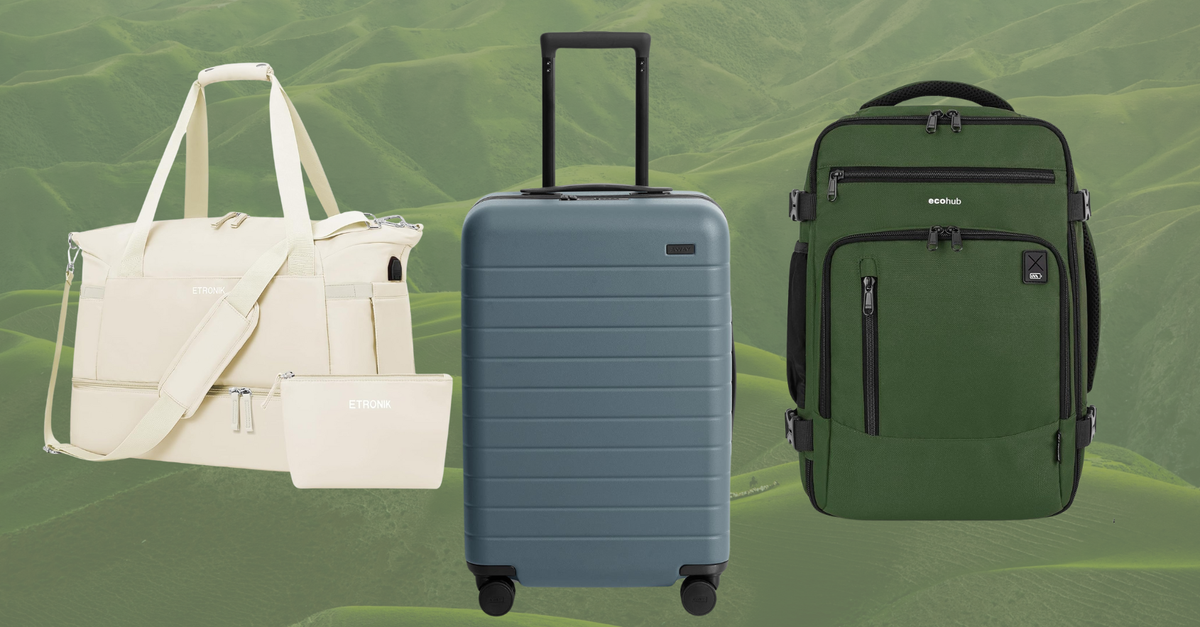 NextImg:These Carry-On Bags Fit Every Major Airline's Size Requirements