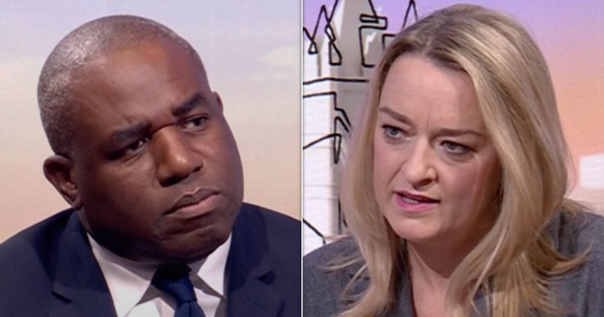 David Lammy Silent On Trumps Migrant Pet Eating Claims