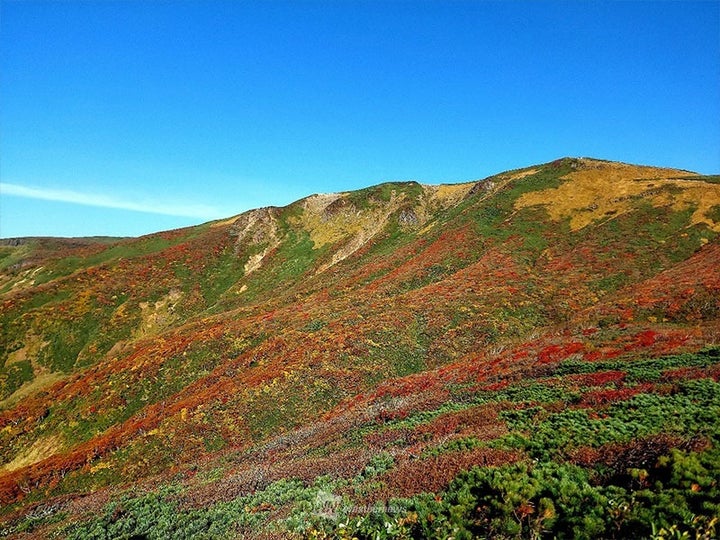 栗駒山 紅葉見頃時の様子