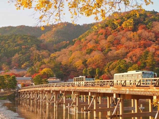嵐山 紅葉見頃時の様子