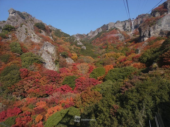 寒霞渓 紅葉見頃時の様子