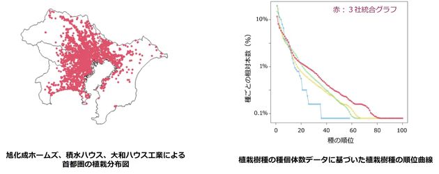 個体数に関する種の順位曲線