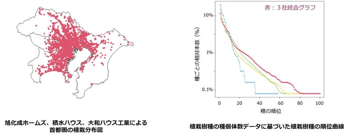 個体数に関する種の順位曲線