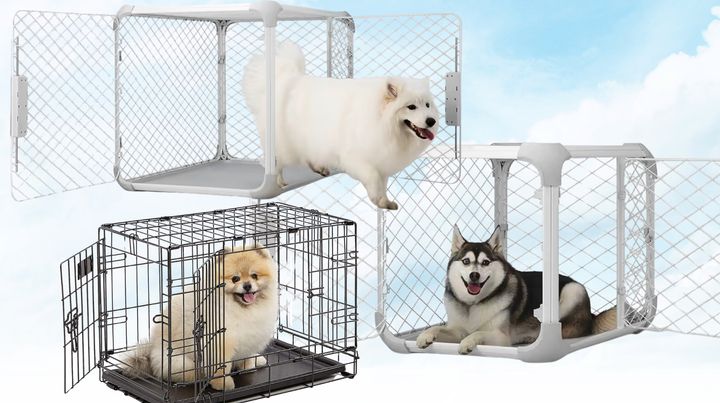 Dogs crates from Amazon and Diggs.