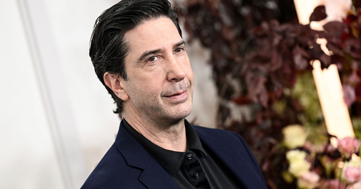 Friends' David Schwimmer Names Iconic 90s Movie He Turned Down | HuffPost  UK Entertainment