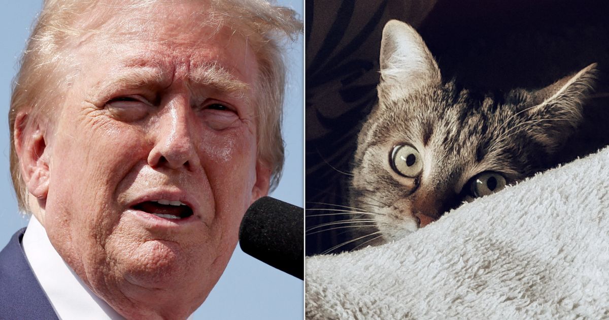 Un partidario de Trump cuyo informe policial alimentó el rumor de que se comía un gato encontró a su mascota en el sótano días después: WSJ