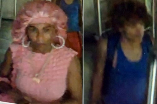 Police are looking for a man and woman who took an empty New York City subway train on a brief joyride before they crashed it and fled. Surveillance photos released by the New York Police Department on Tuesday show a woman dressed all in pink including a pink shower cap and a man in a blue tank top.