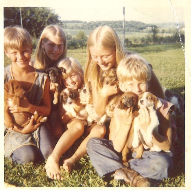 The author with her sisters and brothers and lots of puppies (1972).