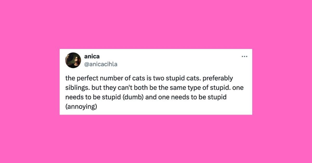 NextImg:21 Of The Funniest Tweets About Cats And Dogs This Week