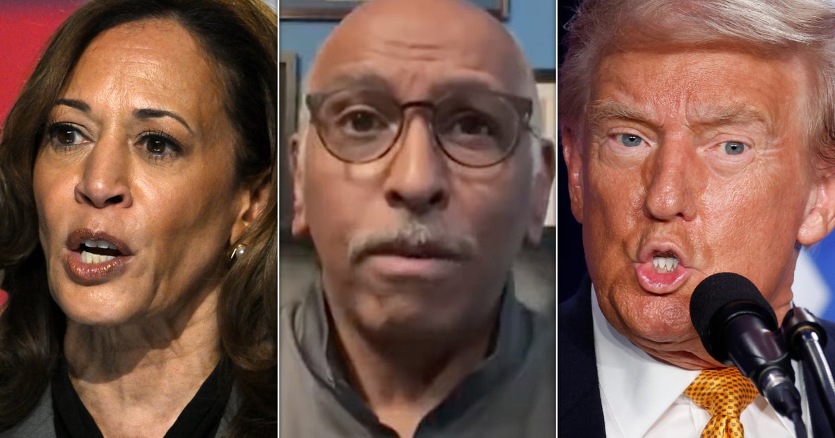 NextImg:Blue Wave? Ex-RNC Chair Names 2 Crucial Trump States Harris Will Flip