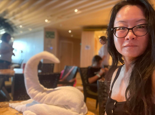 "Since the seminal childhood event described in this story, the last time I came remotely close to a goose was when I made a towel one on a recent Carnival cruise," the author writes.