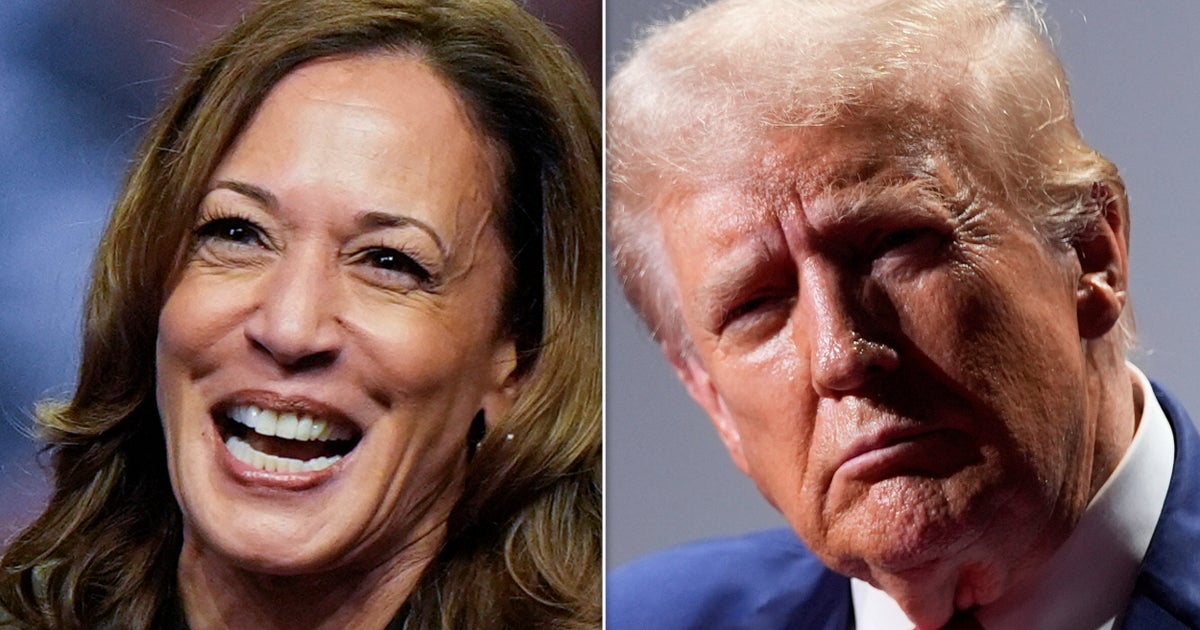 NextImg:Harris Campaign Trolls Trump With Brutal Reminder Of His Tanking Stock Price