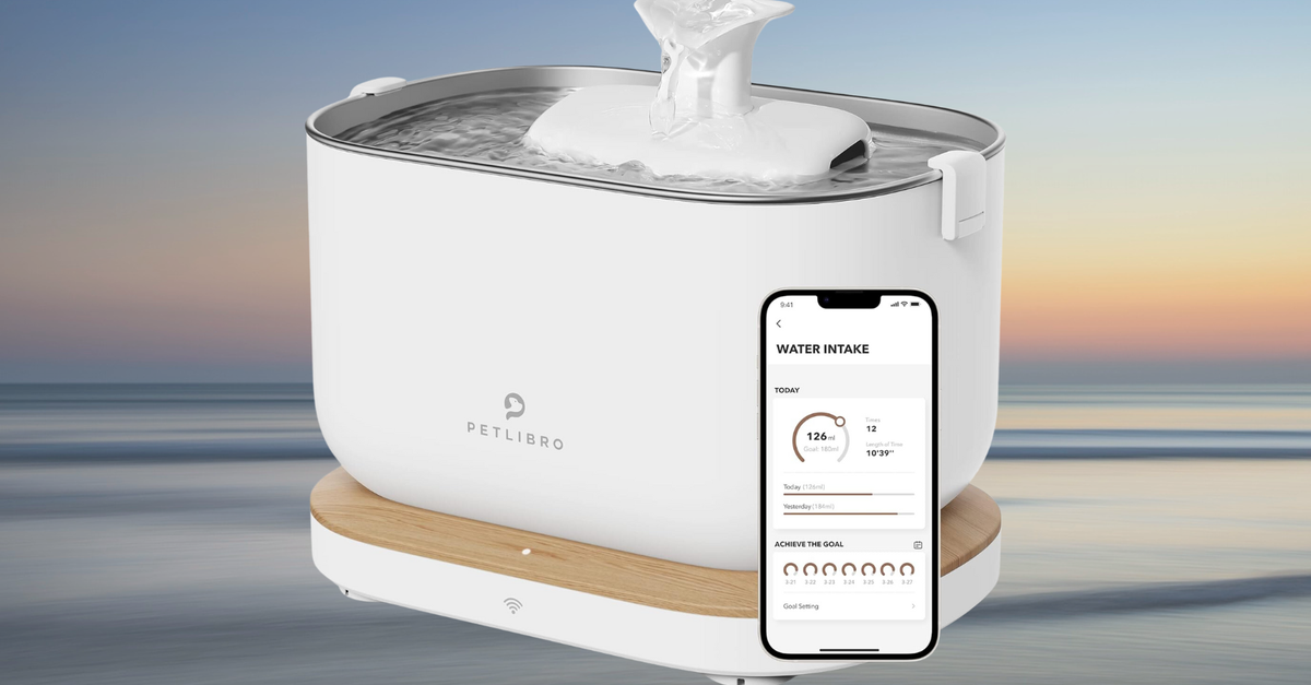 Smart Cat Fountain Is ‘True Genius’