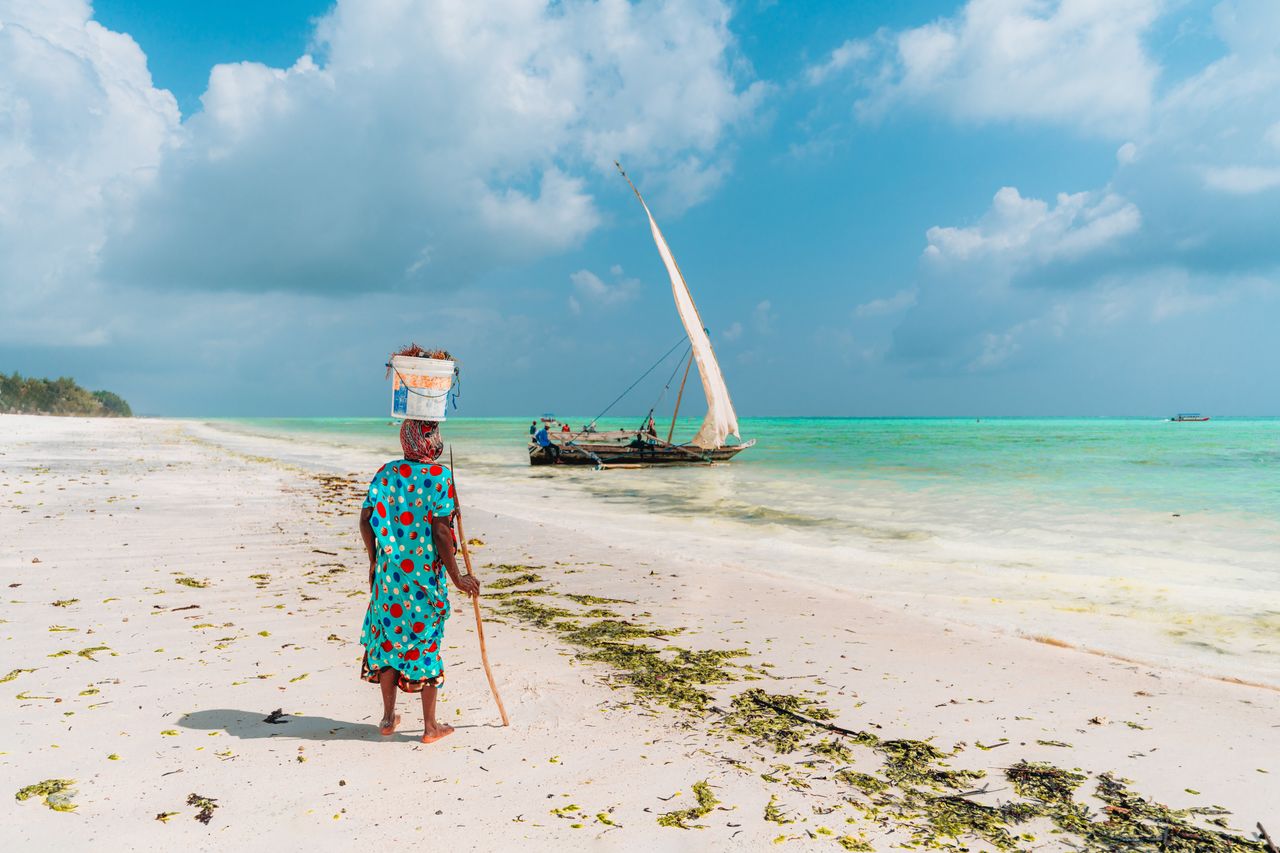 Seaweed farmer on the public beach, Zanzibar