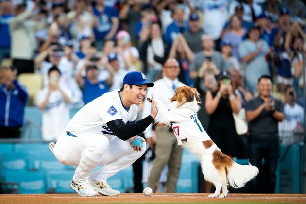 大谷翔平選手と愛犬のデコピン