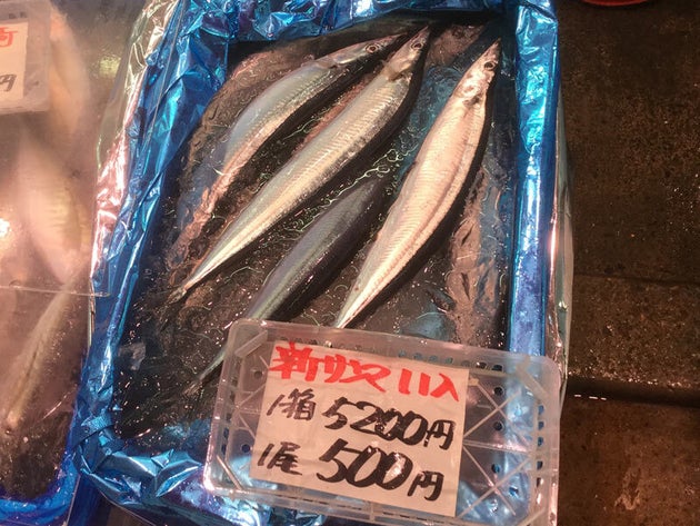 サンマの不漁時期、一時は卸売でも1匹500円の値に