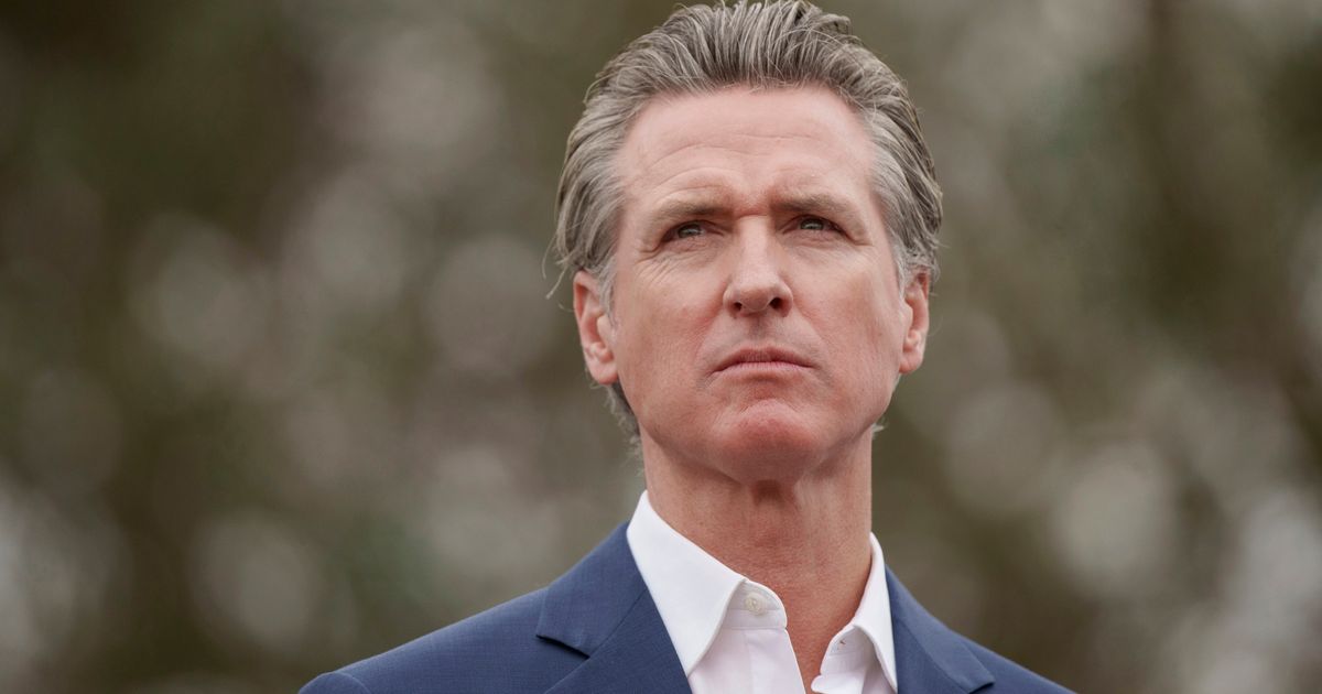 California Gov. Gavin Newsom Vetoes Bill For AI Safety Measures