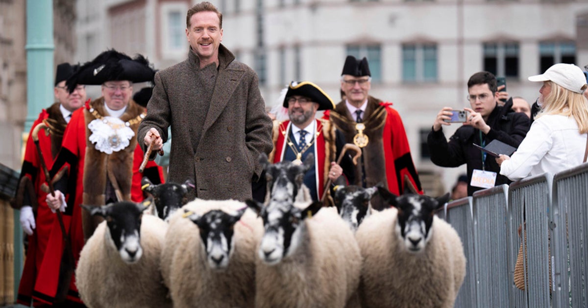 Actor Damian Lewis Herds Sheep Over A London Bridge To Honor Medieval Tradition