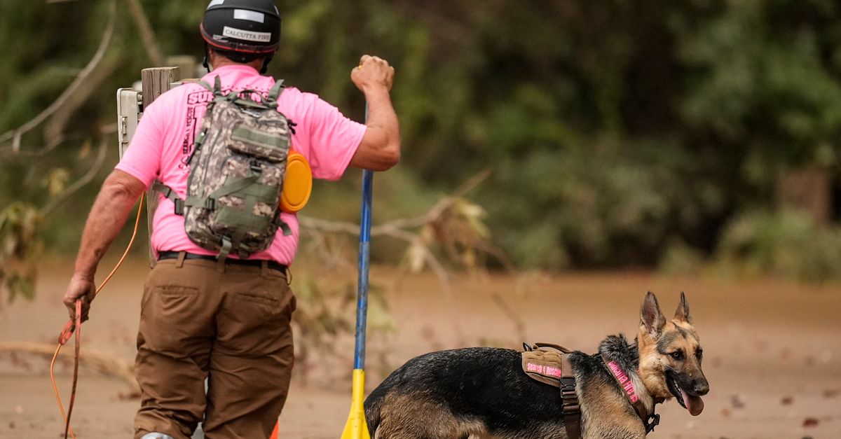 Search Crews With Cadaver Dogs Wade Through Muck Of Communities ‘Wiped Off The Map’ By Helene