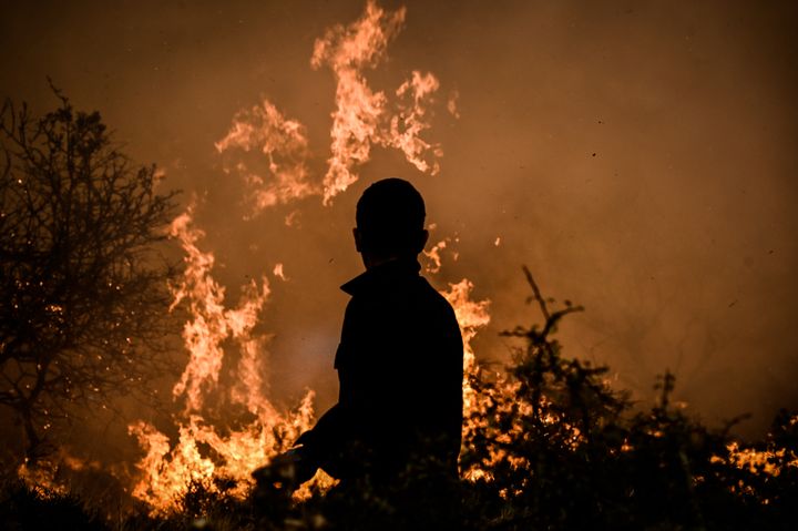 Στιγμιότυπο από την καταστροφική φωτιά στο Ξυλόκαστρο Κορινθίας - 1 Οκτωβρίου 2024