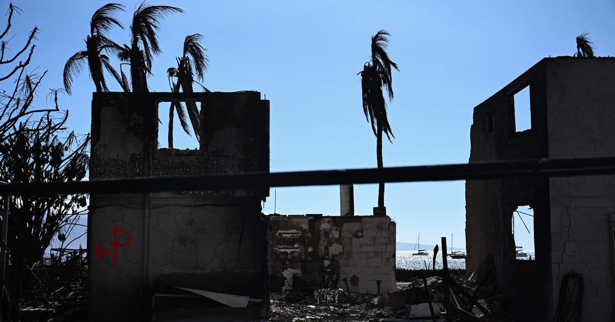 Deadly Maui Fire Erupted From Blaze Believed To Have Been Extinguished, Investigation Finds