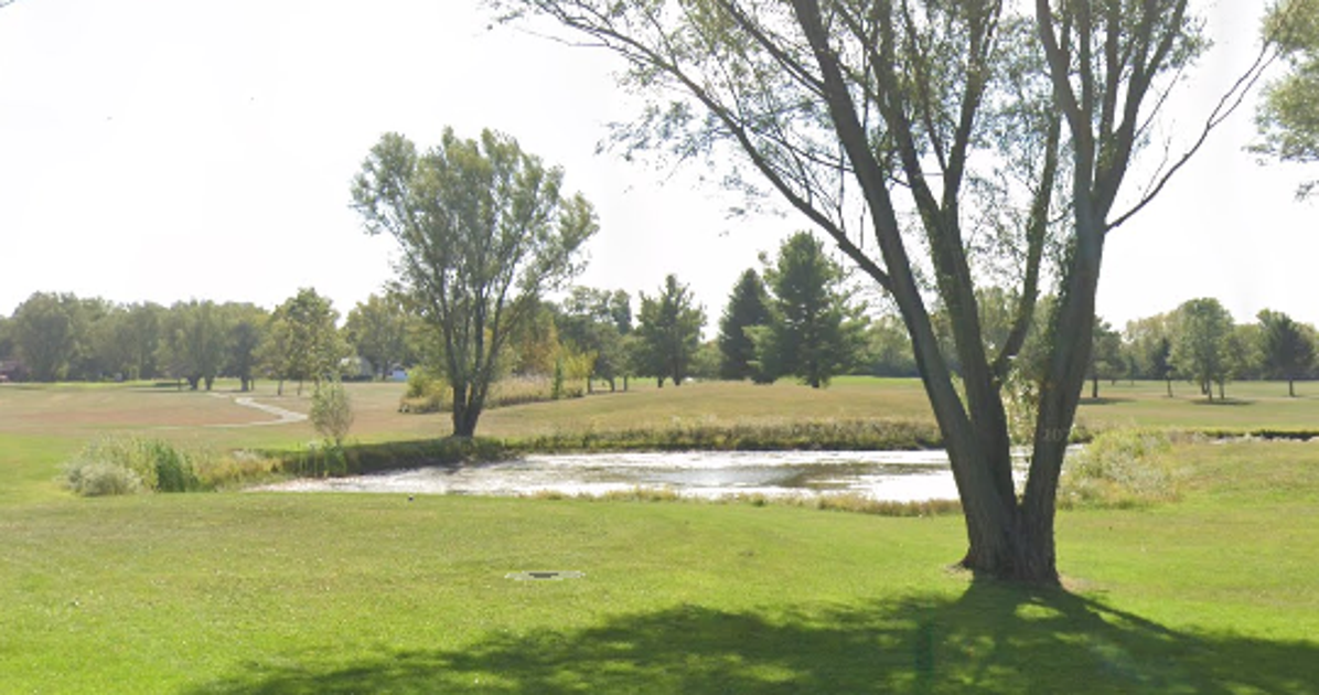 NextImg:Someone Was Arrested For Killing Geese In Springfield — But It Wasn’t A Haitian