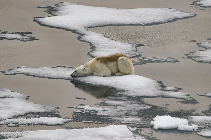 Gen Z Talks About This Kind Of Anxiety More Than Anyone Else — But We're All Starting To Feel It 2 Eco-grief puts a name to people’s sense of loss or mourning of the planet and the natural world ― grief for a near-extinct species, an ecosystem, a landscape, or a way of life.