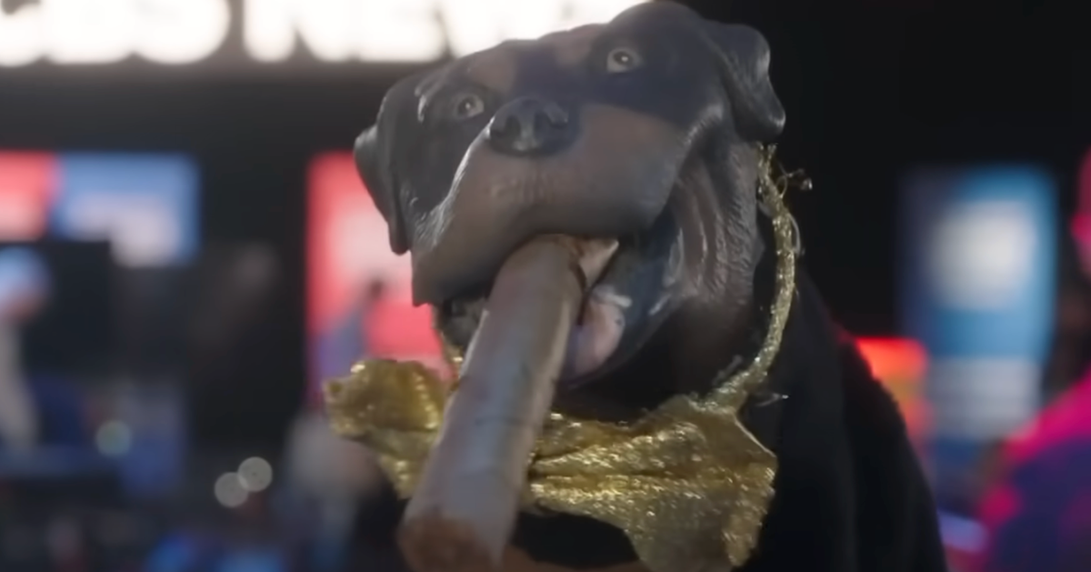 NextImg:Triumph The Insult Comic Dog Scorches Donald Trump Jr. With Brutal JD Vance Burn