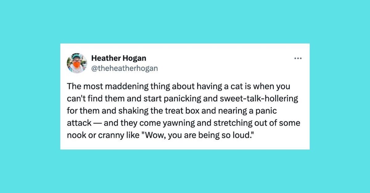 NextImg:28 Of The Funniest Tweets About Cats And Dogs This Week