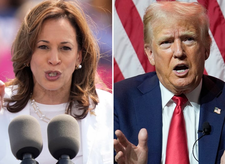 Rice, who called Trump “an appeaser,” said Harris would be “a strong commander-in-chief.”