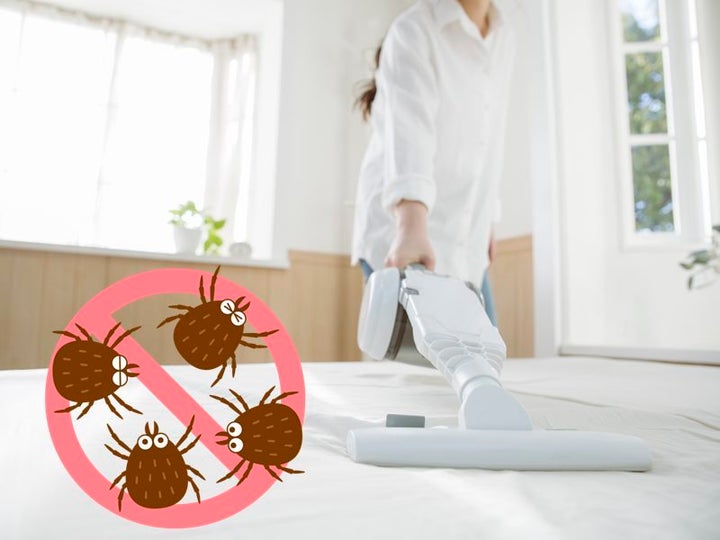 知ってる?布団に潜むダニを退治する方法。掃除機は効果あり?【検証結果】 | ハフポスト LIFE